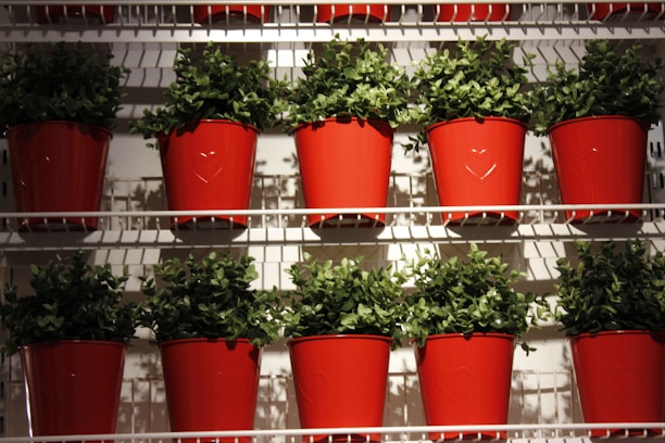Rows of vibrant green plants are placed in bright red pots arranged neatly on white shelves. The pots have a subtle heart design embossed on the front, and the plants appear lush and healthy.