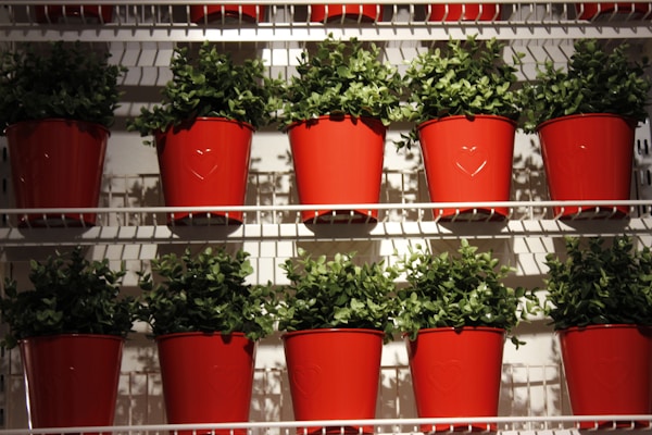 Elegant Ceramic Plant Pots