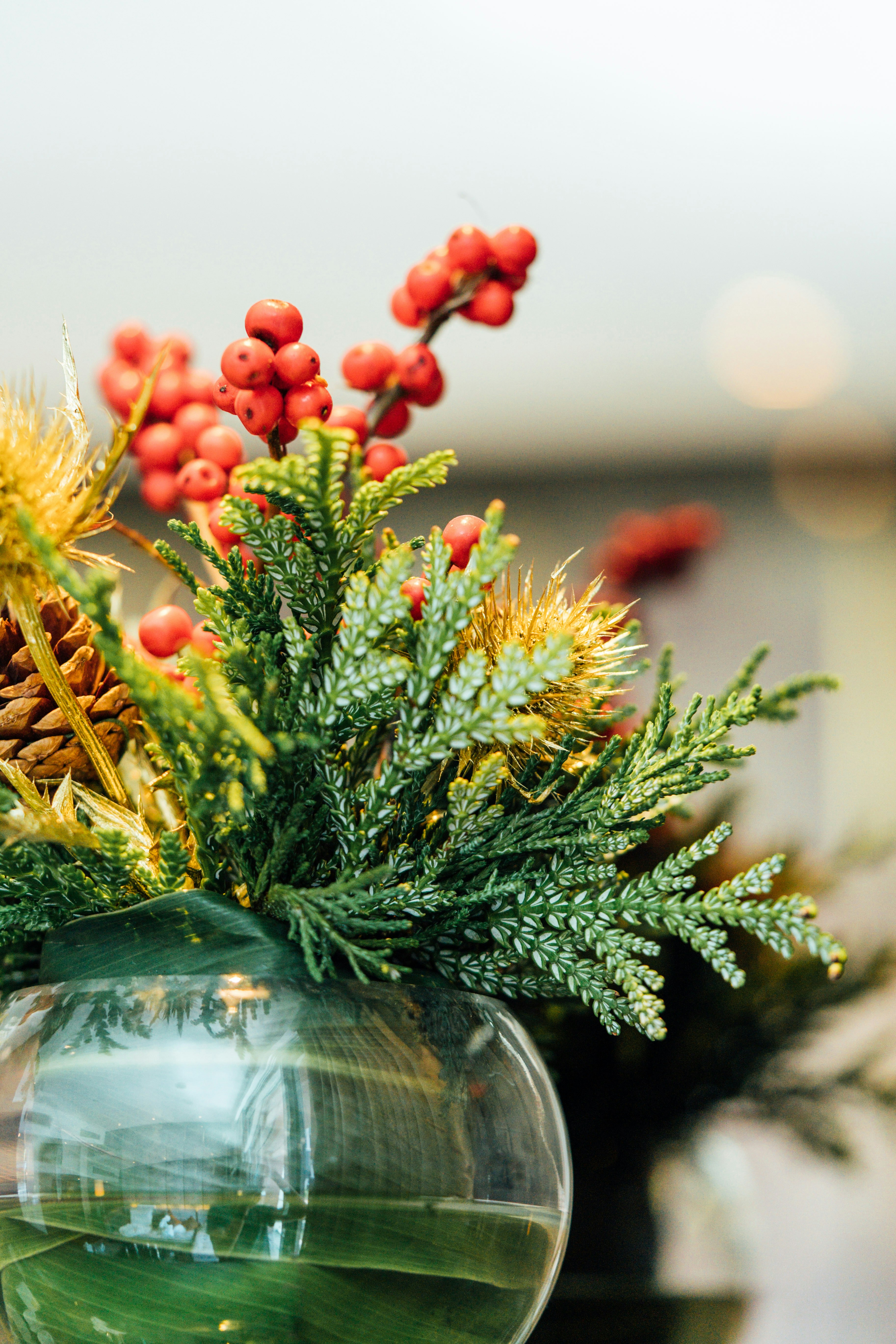 Photo by chuttersnap