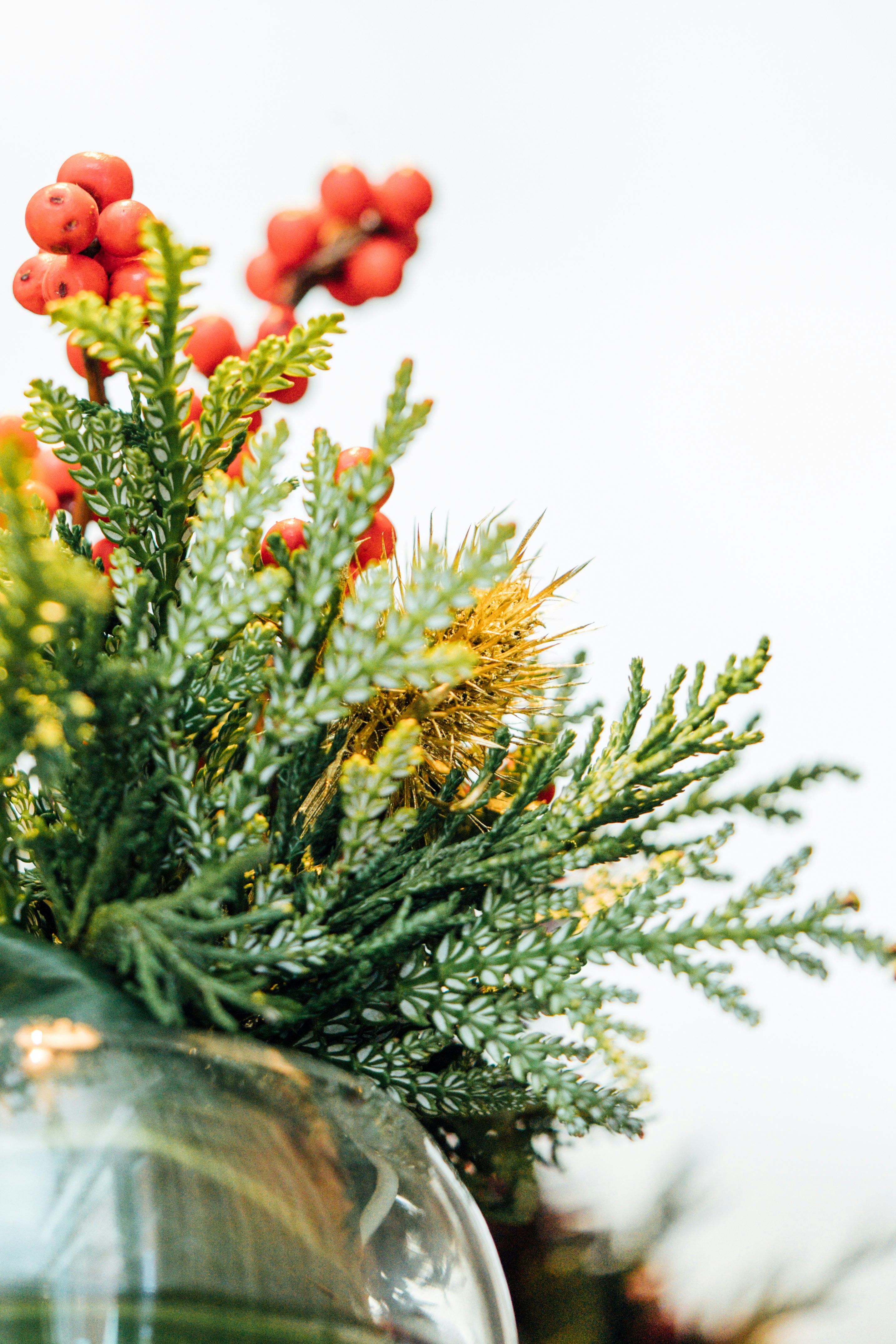 Photo by chuttersnap