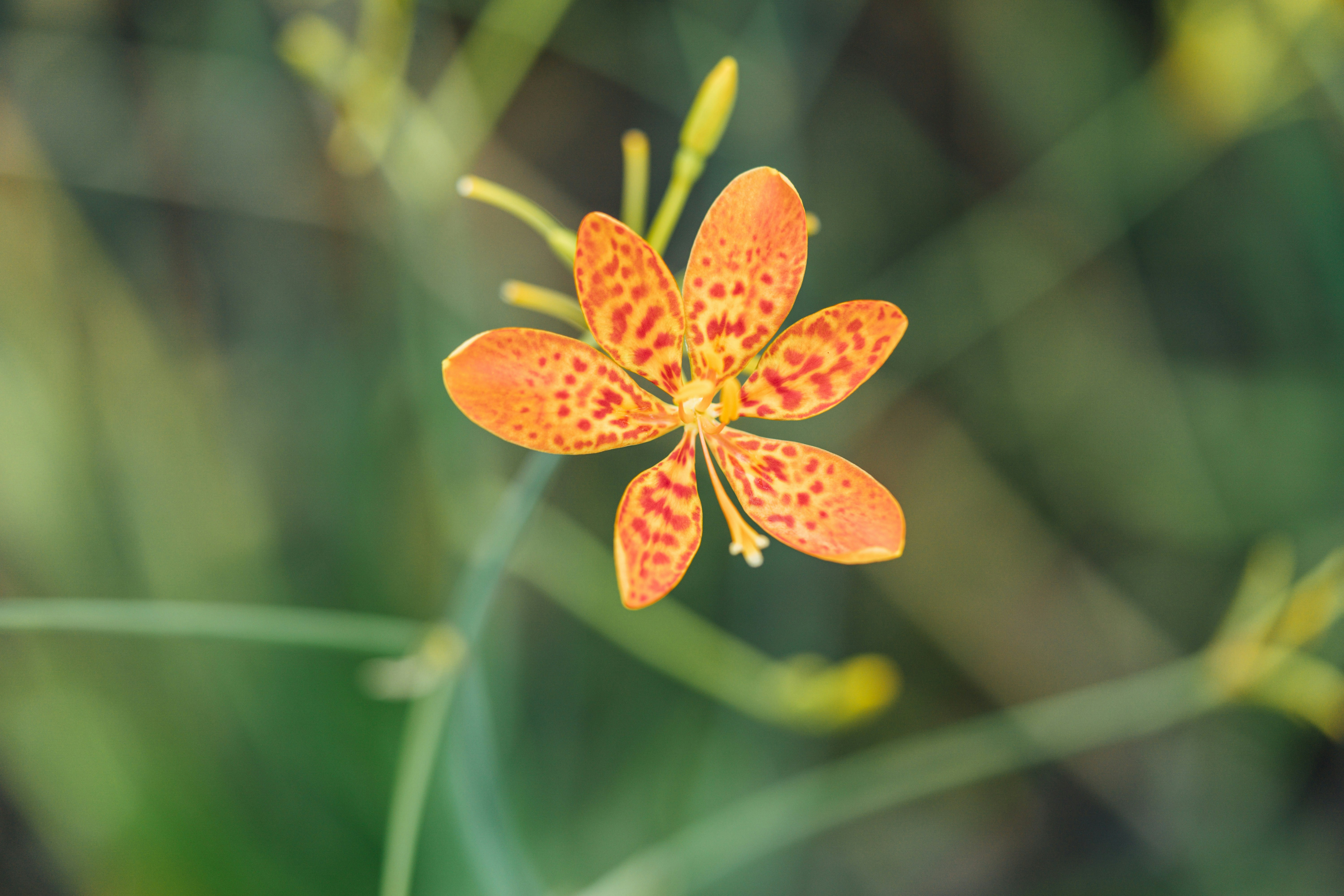 Photo by chuttersnap