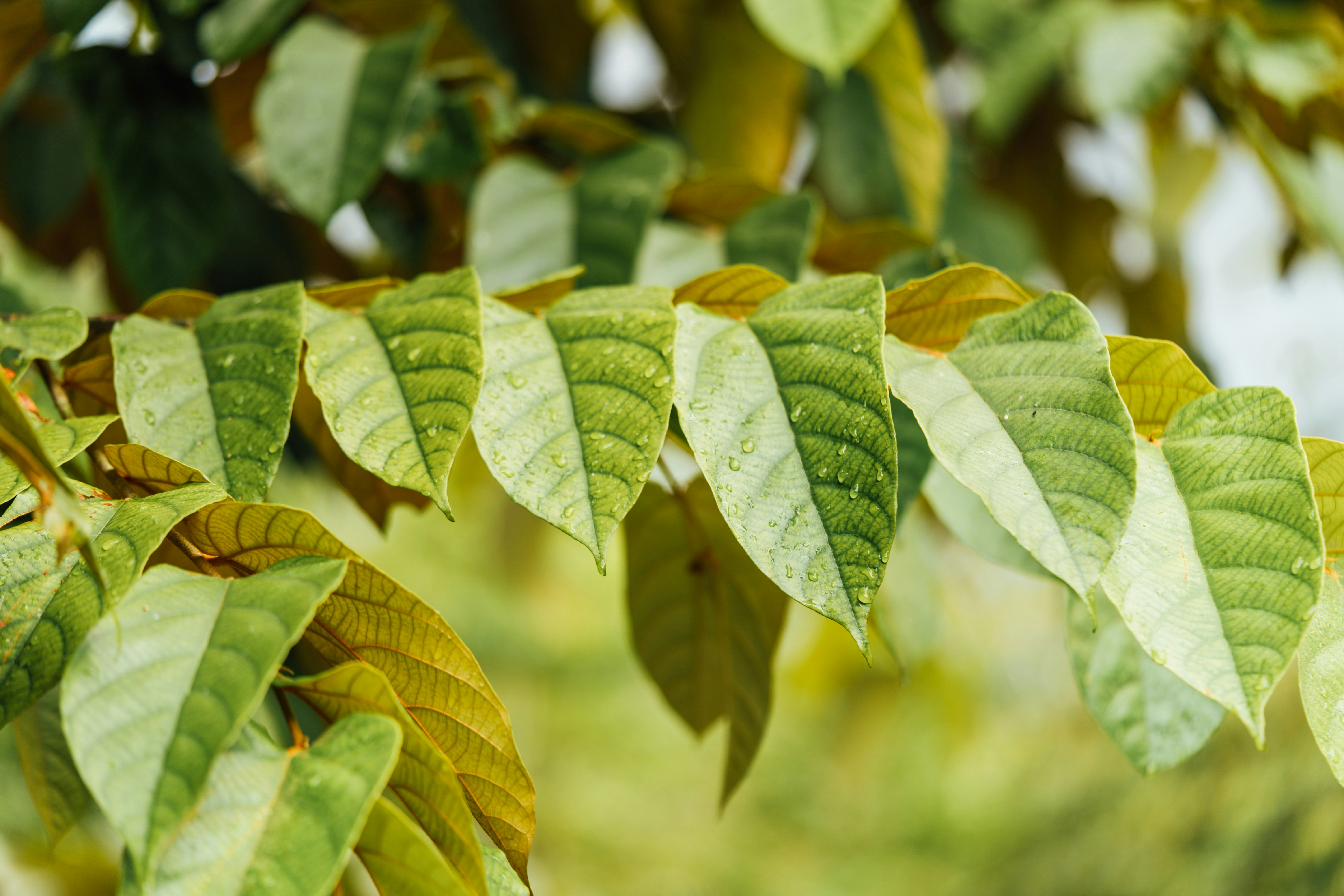 Photo by chuttersnap