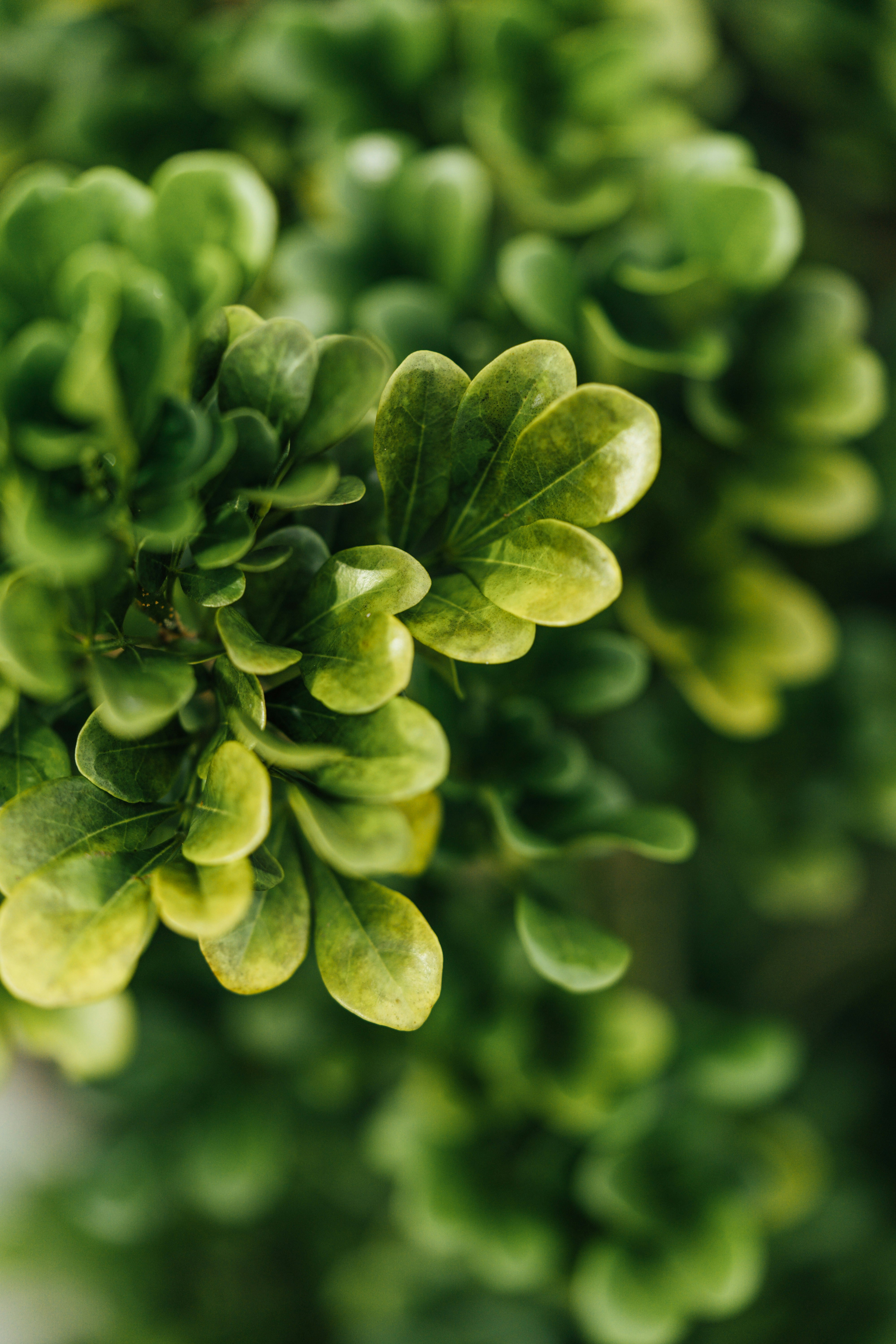 Photo by chuttersnap