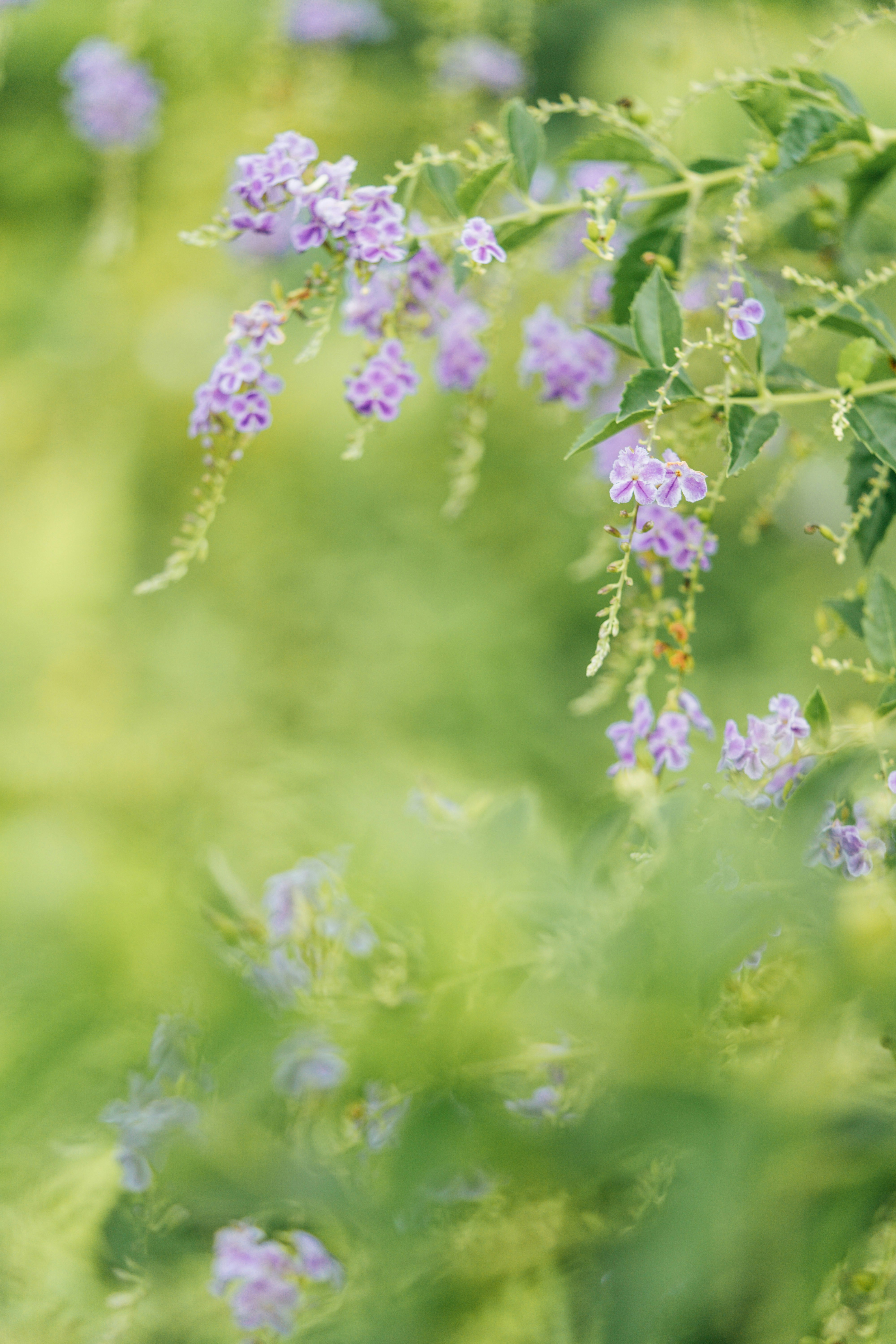 Photo by chuttersnap