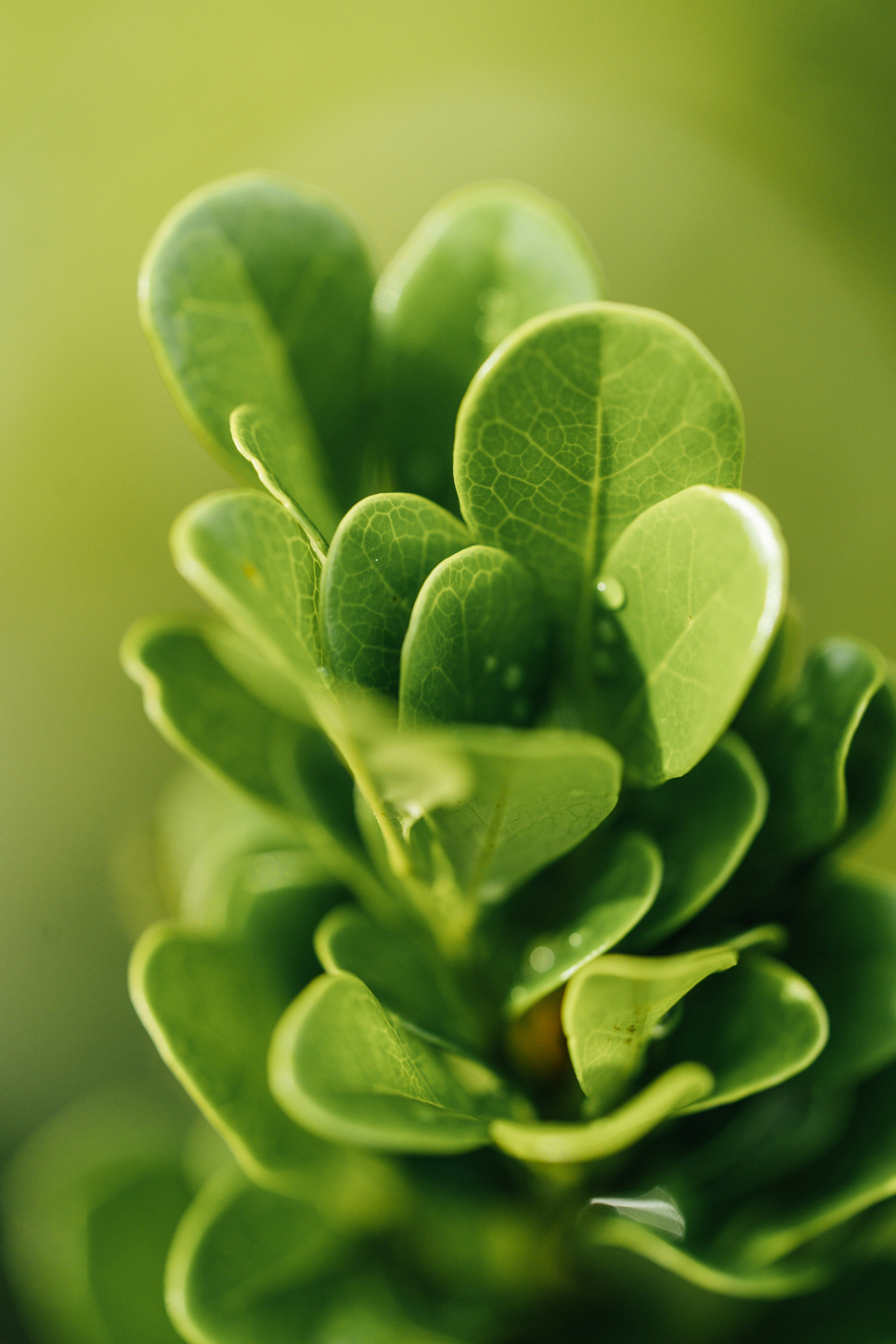 Photo by chuttersnap