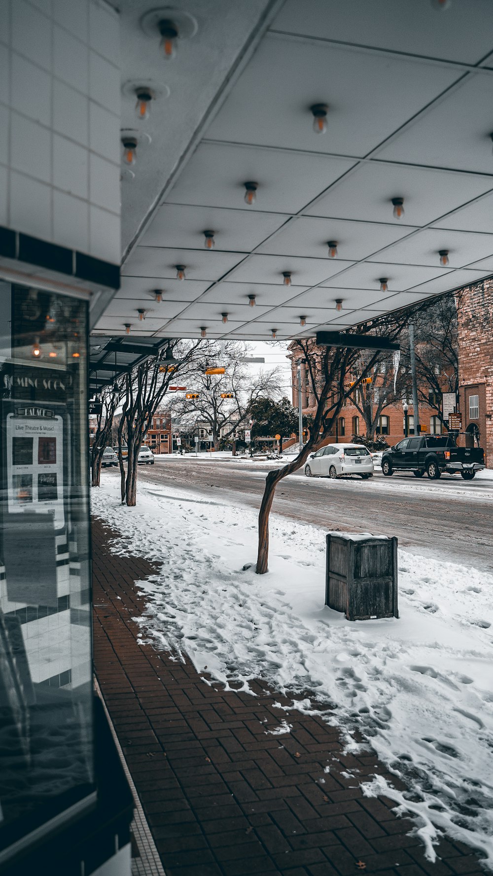 a snowy sidewalk with a small tree in the middle of it