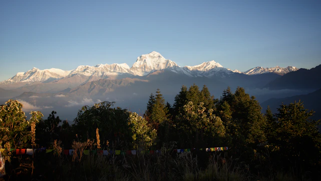 A breathtaking view of Bhutan's lush valleys and traditional monasteries under a clear blue sky