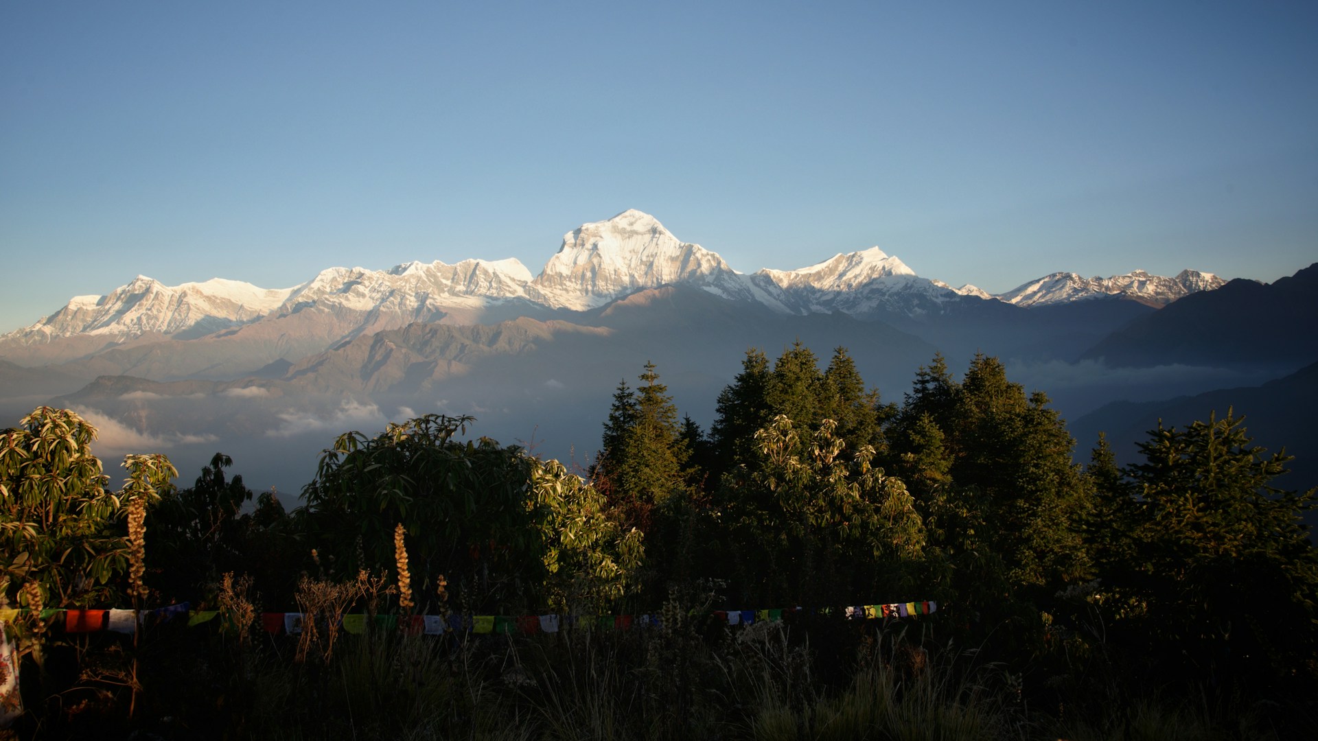 woman wearing yellow long-sleeved dress under white clouds and blue sky during daytime