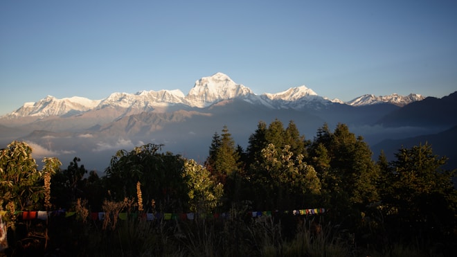 A stunning view of snow-capped mountains under a clear blue sky, with lush green trees and colorful prayer flags in the foreground.