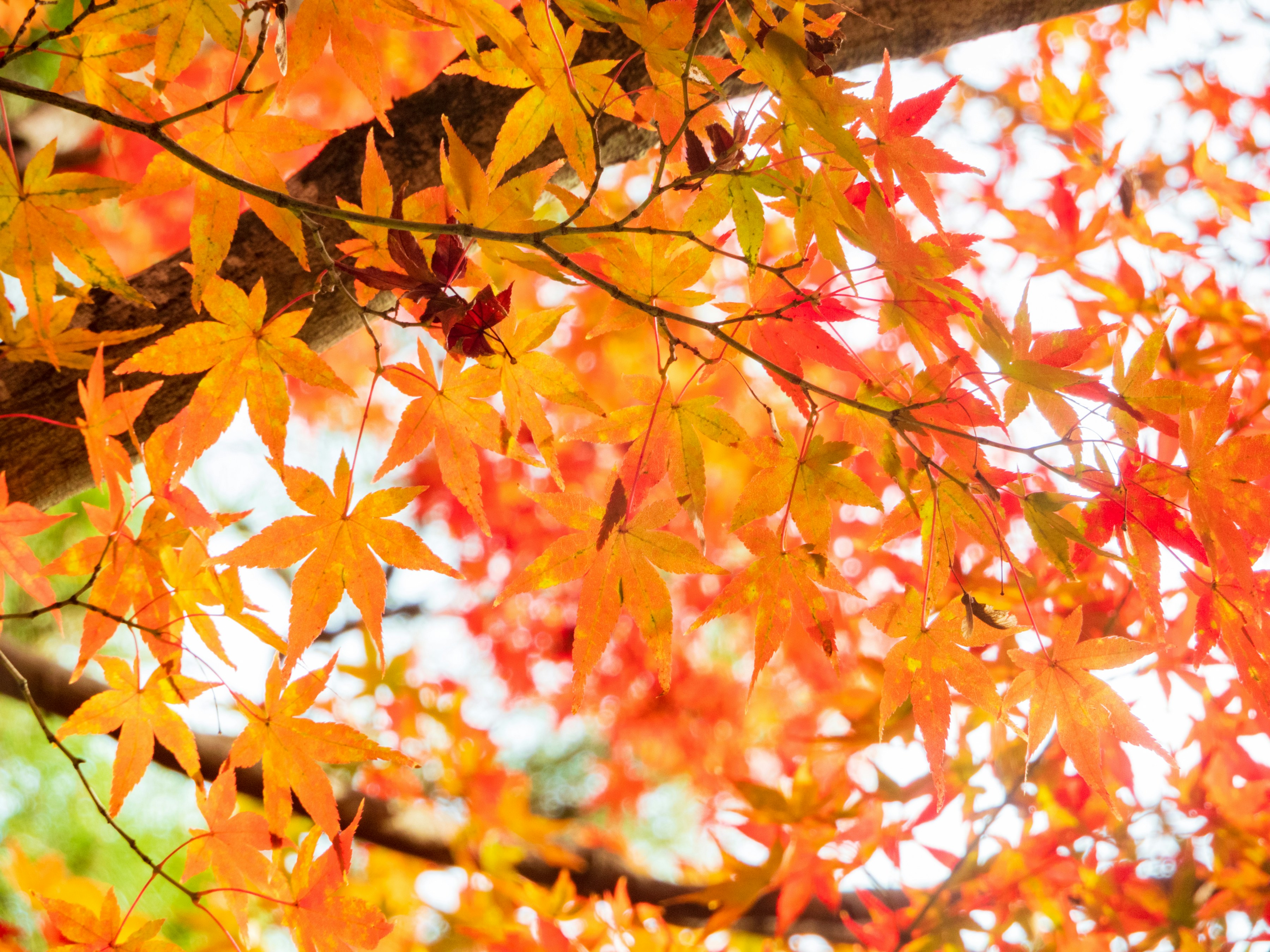 Photo by heppoko_yama