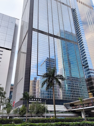 A tall modern skyscraper with reflective glass windows, surrounded by other buildings in an urban setting. A palm tree and well-maintained greenery are in the foreground, with a sign reading 'Immigration Tower' visible near the base.