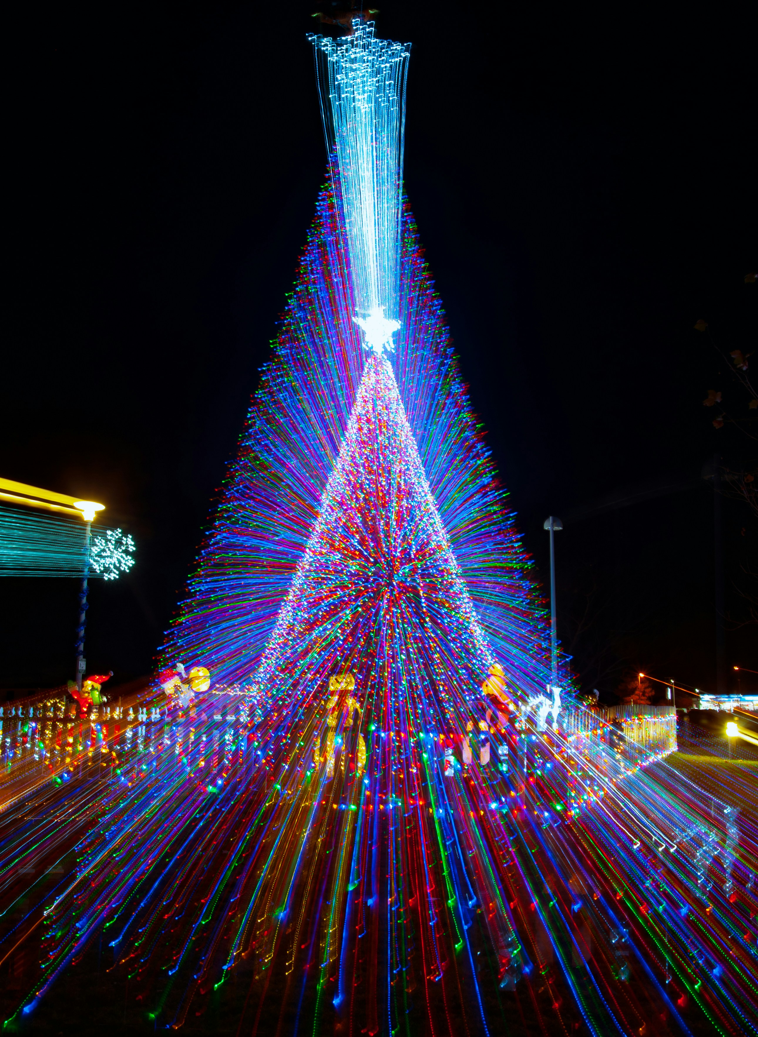 Photo by luisjlara343