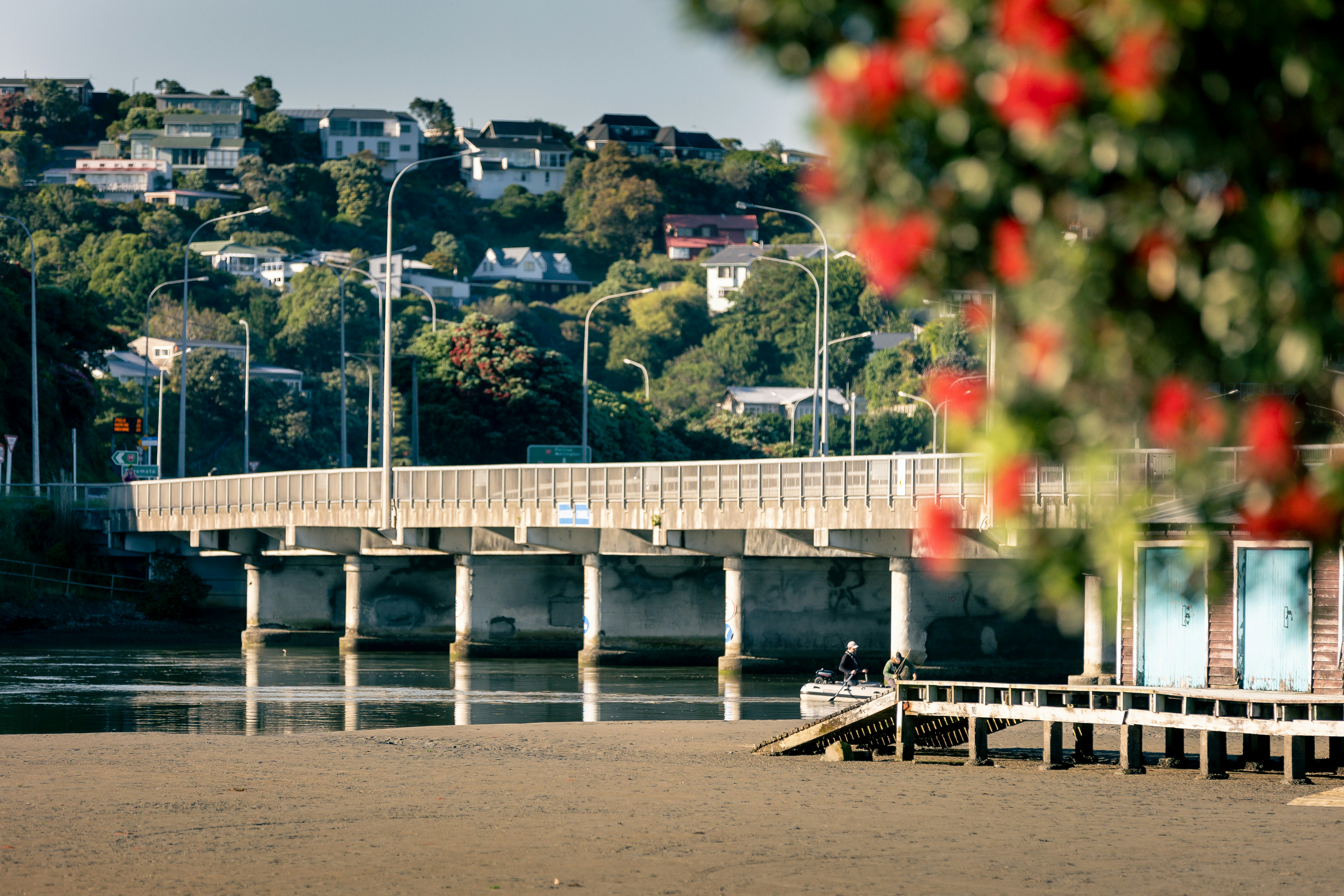 Wellington, New Zealand - None