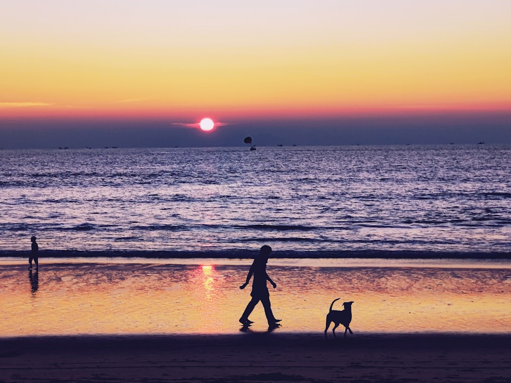 a person walking a dog on a beach at sunset