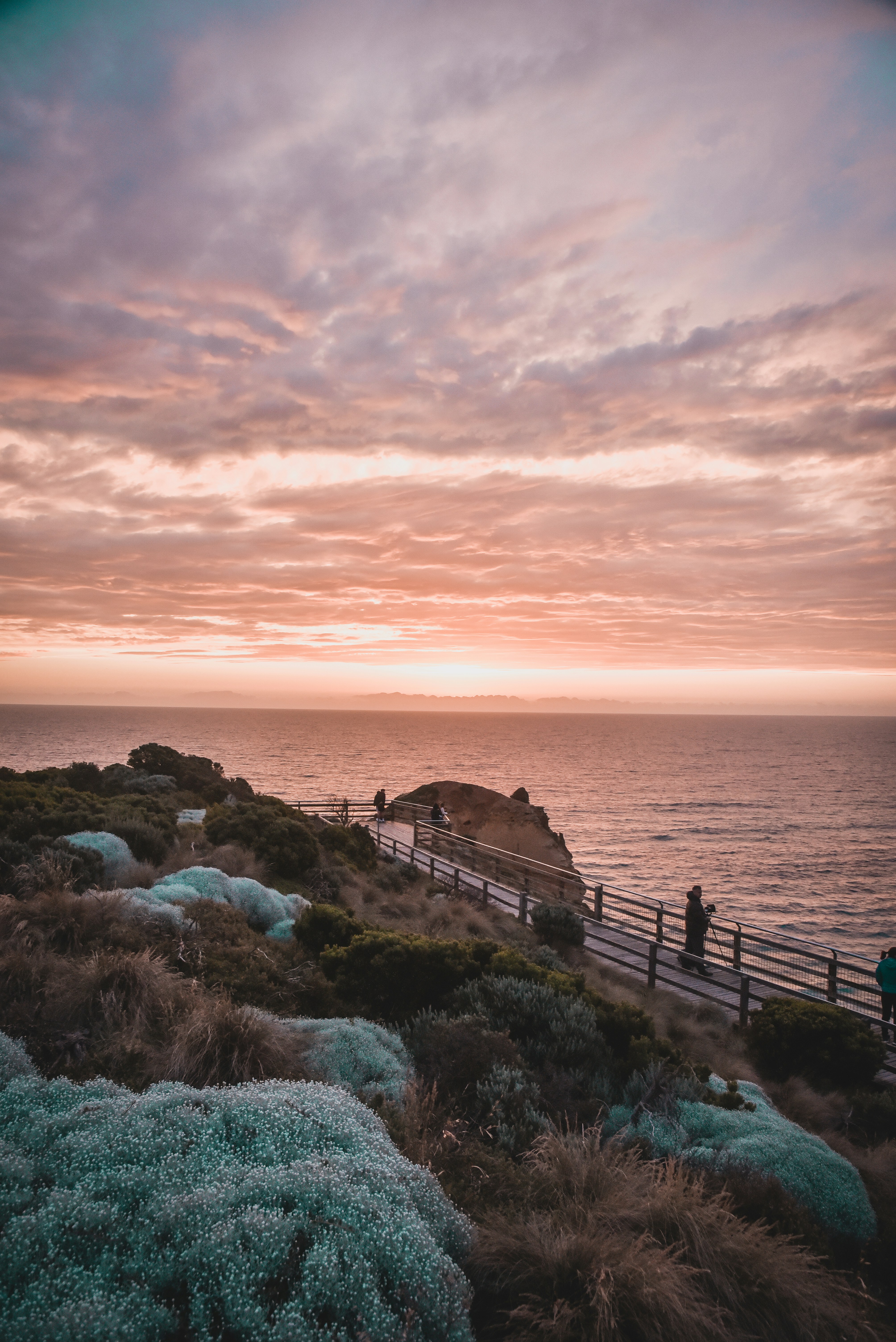 un troupeau de moutons debout à côté d’un plan d’eau