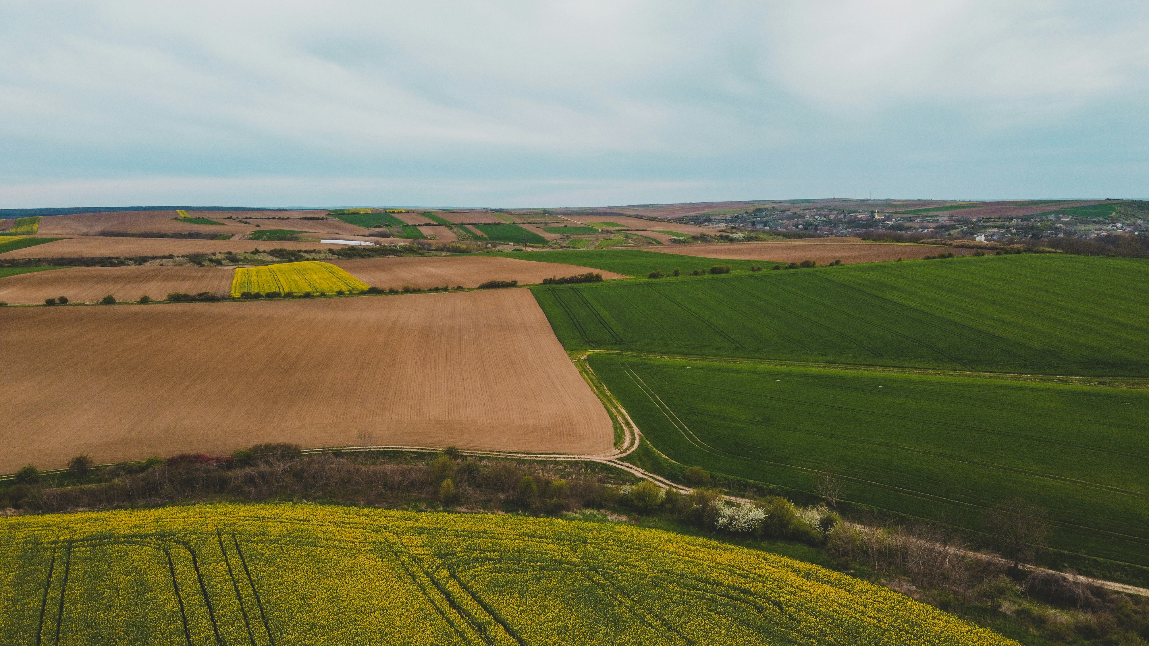 Photo by czapp_arpad