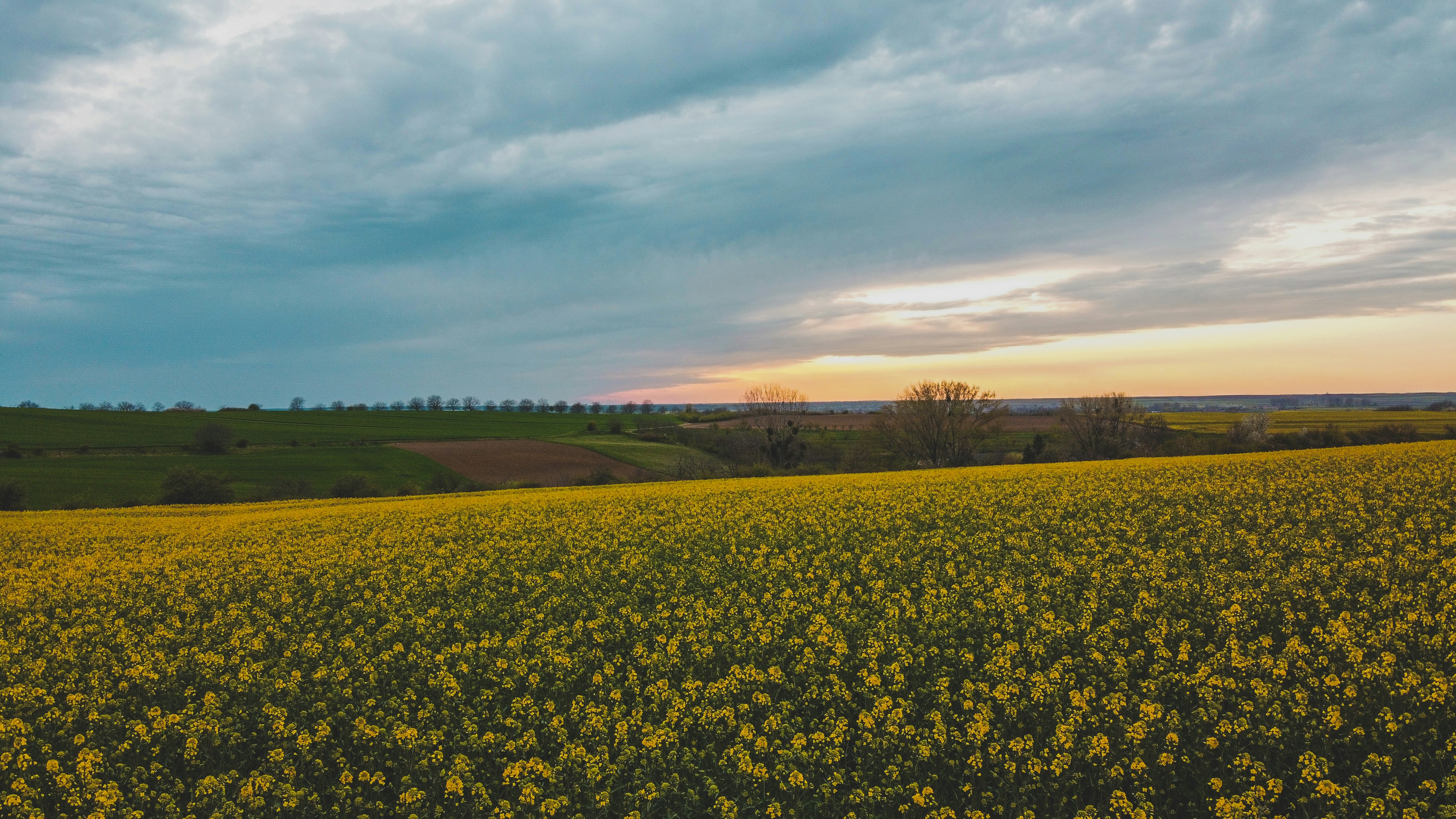 Photo by czapp_arpad