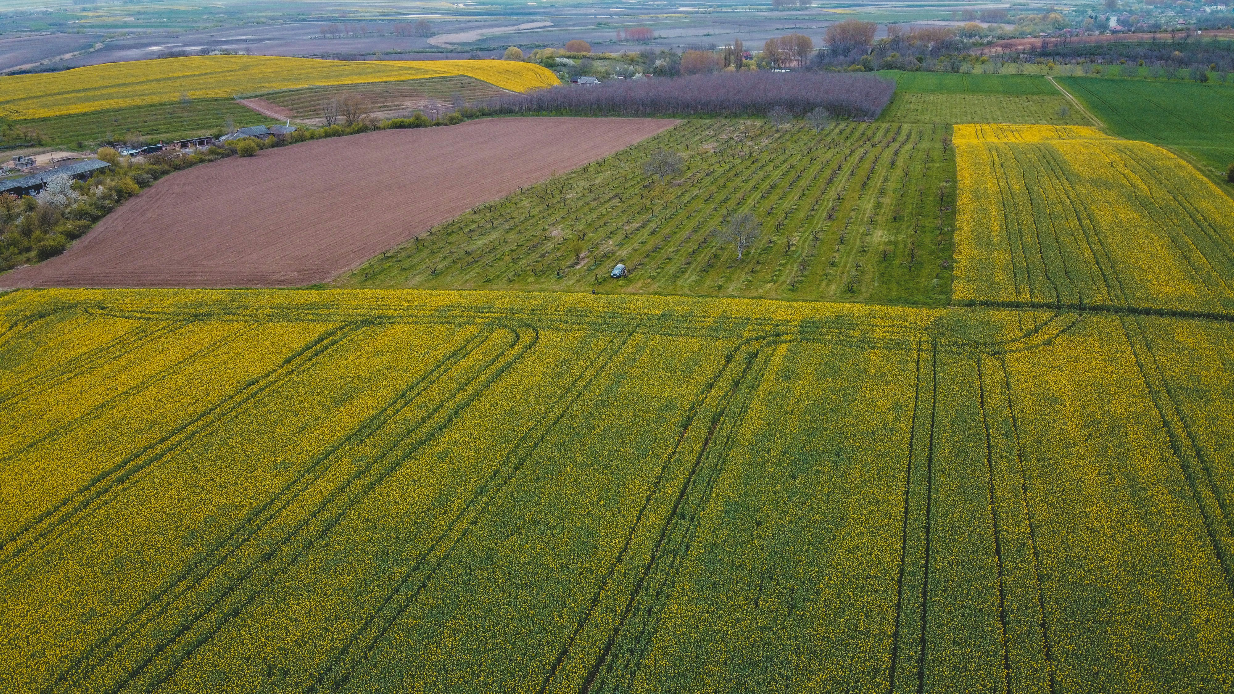 Photo by czapp_arpad