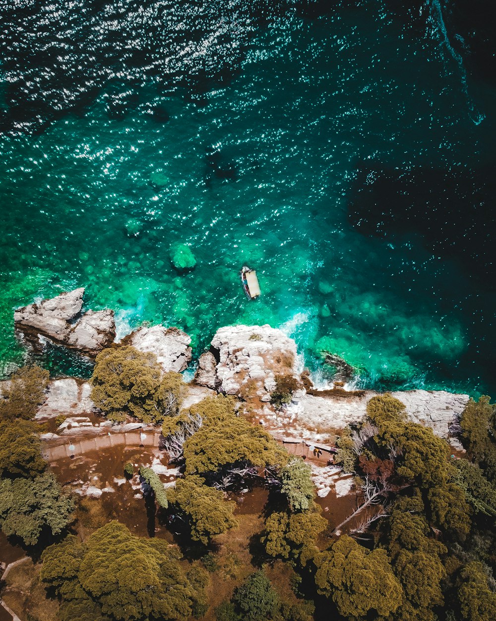 an aerial view of a body of water surrounded by trees