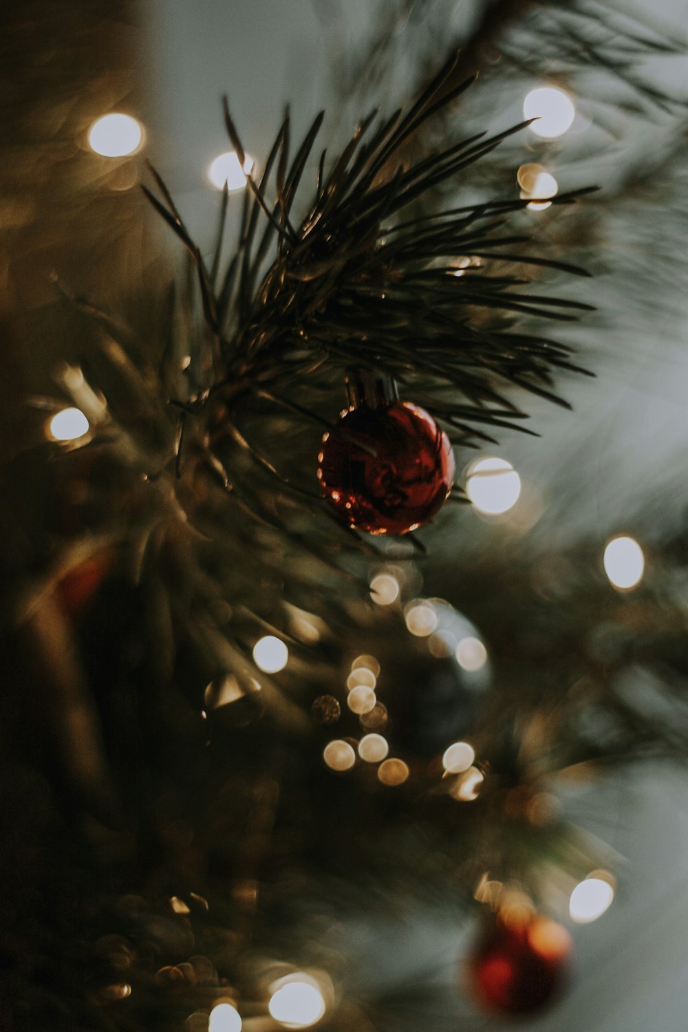 a close up of a pine tree with a red ornament on it