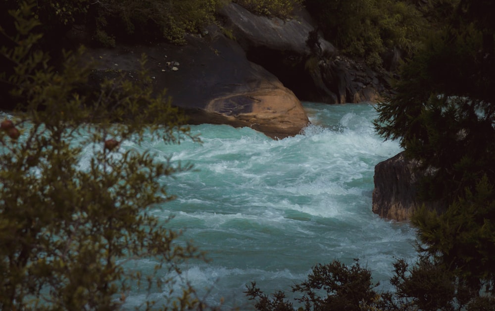 un río que corre a través de algunos árboles