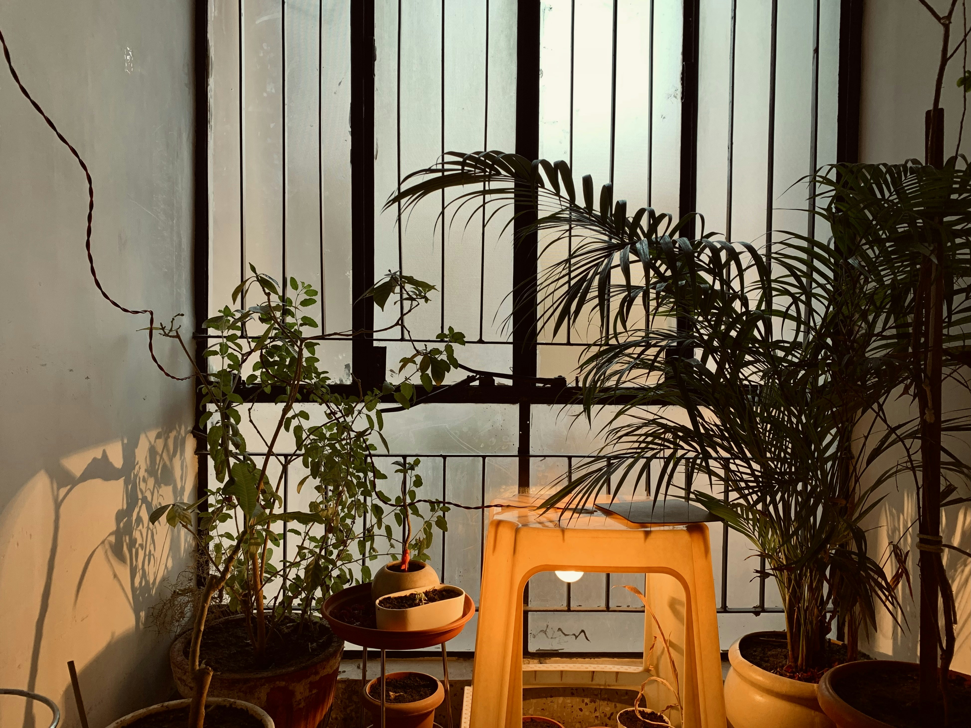 City living apartment