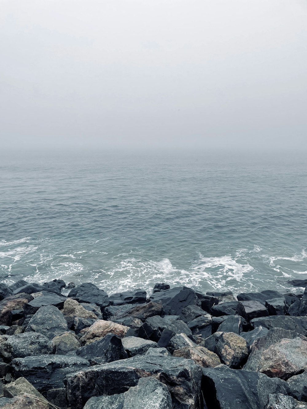 a large body of water sitting next to a rocky shore