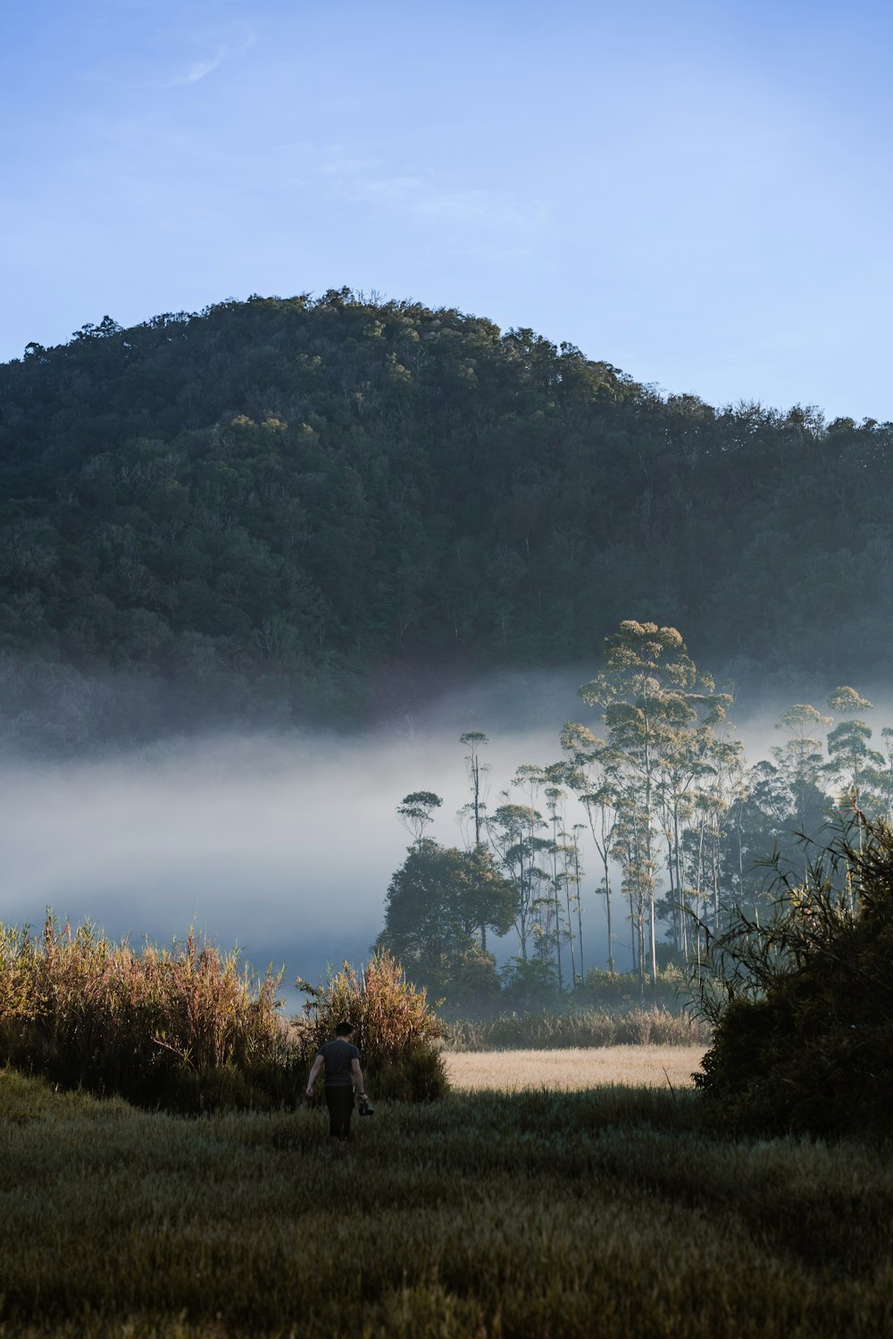 a person walking through a field with a mountain in the background