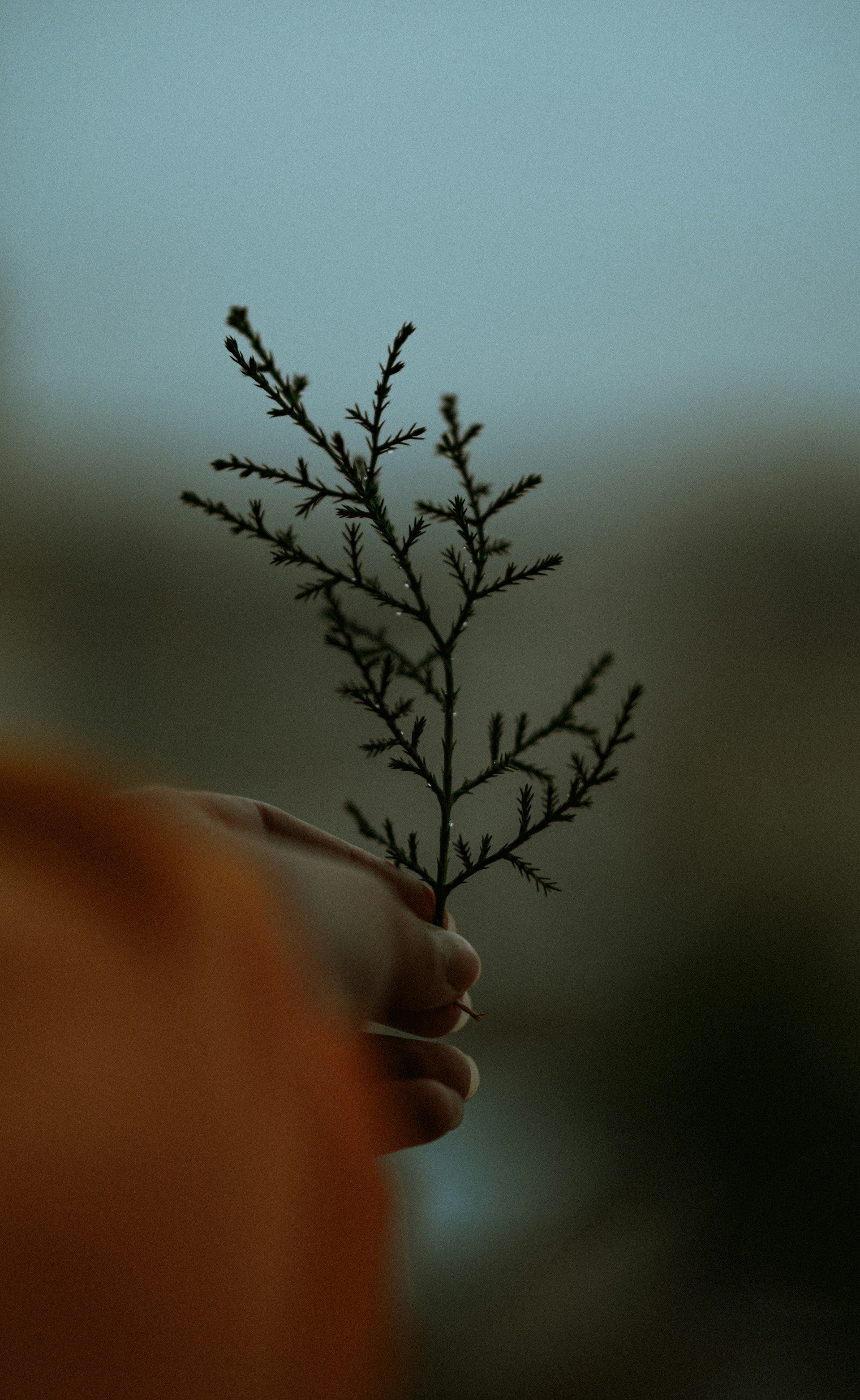 gray computer monitor