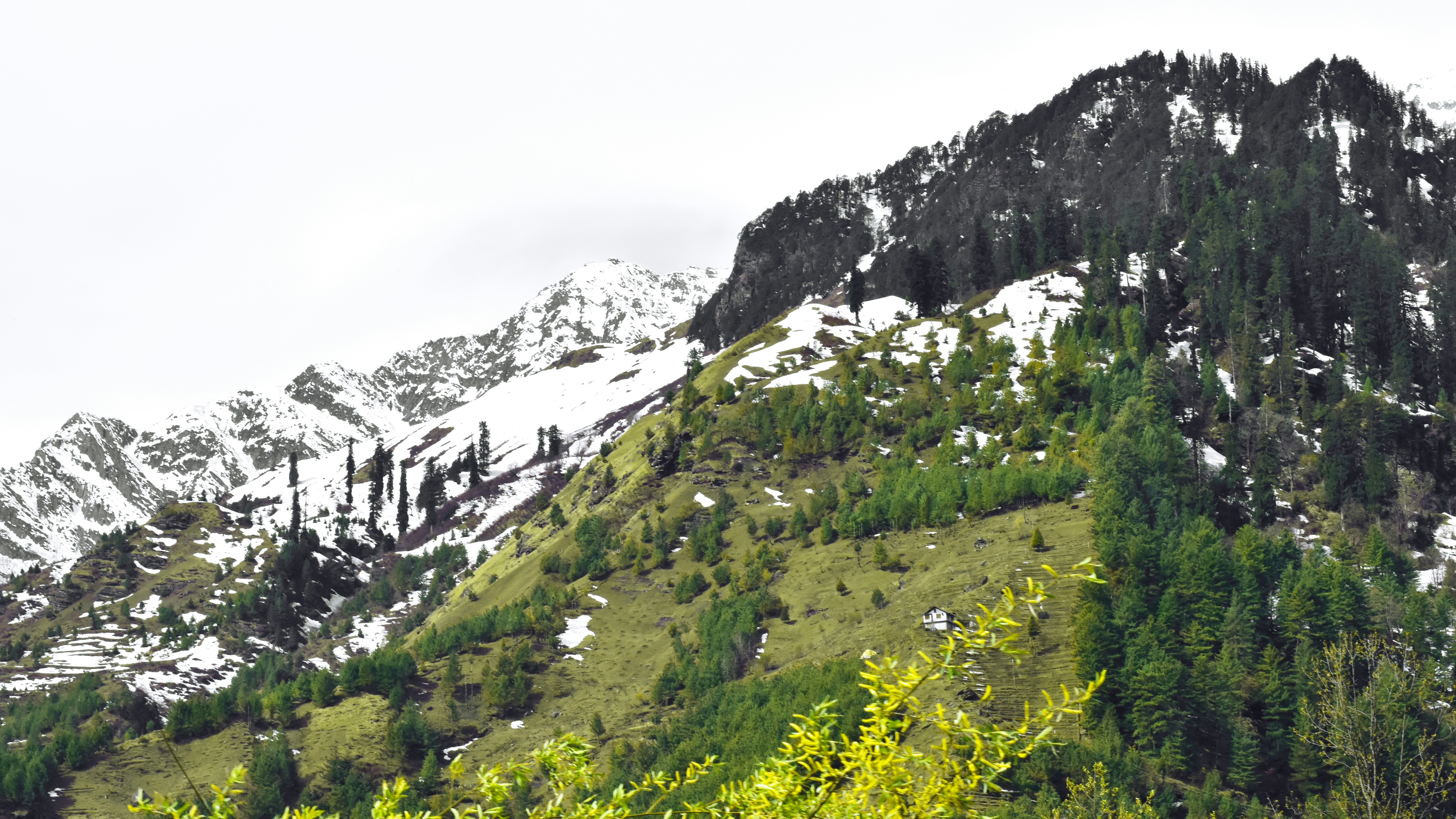 Photo by chickenpakoda