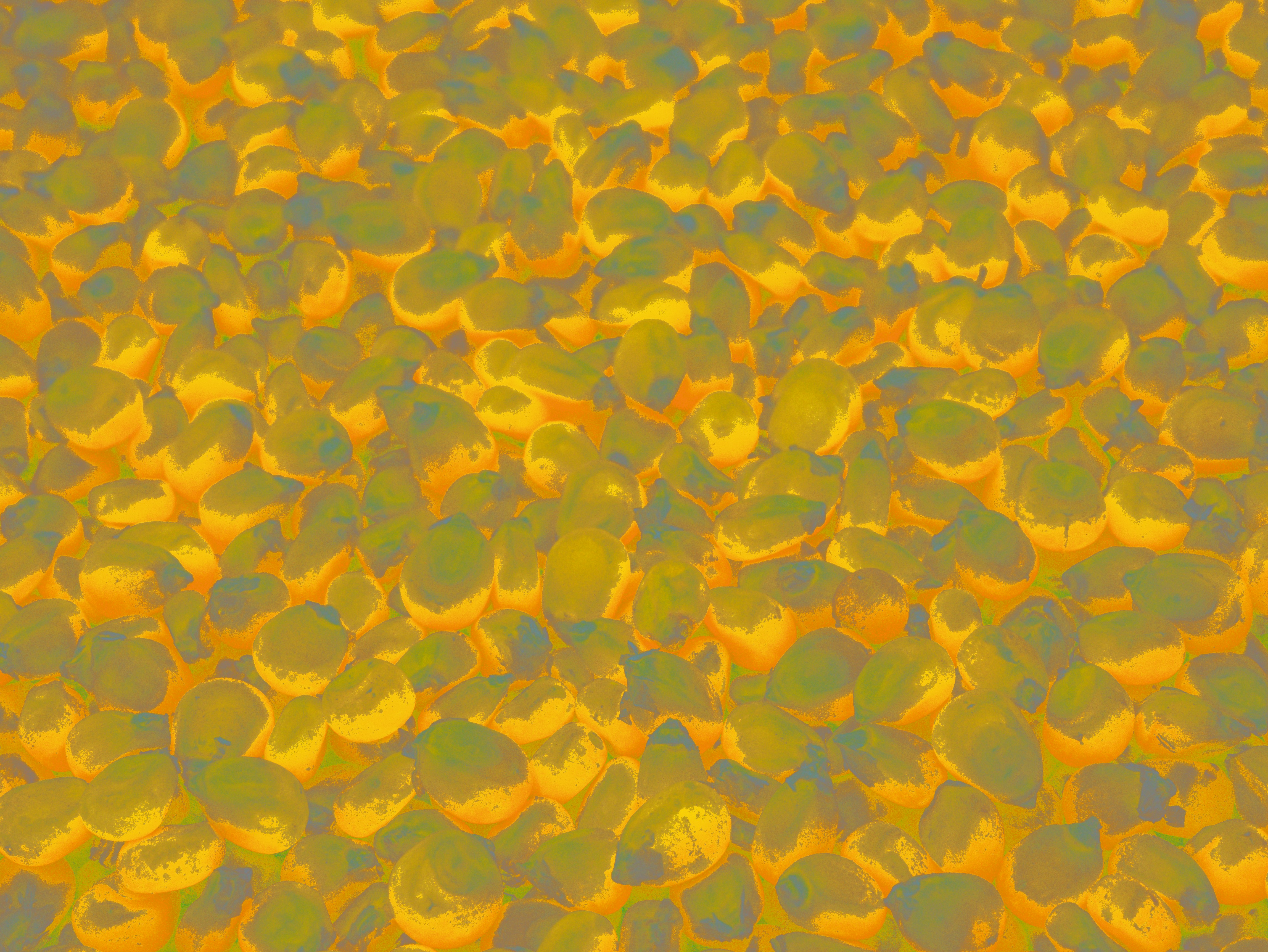 Photo by paoalchapar