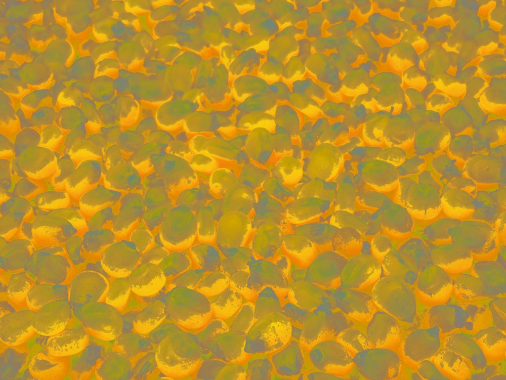 a yellow background with a lot of yellow flowers