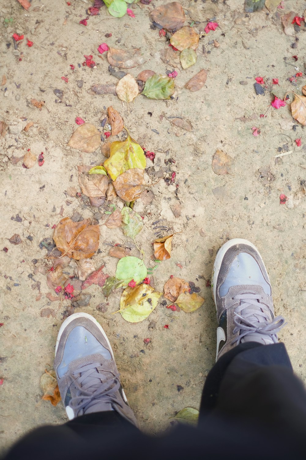 Una persona in piedi su un marciapiede con le scarpe addosso