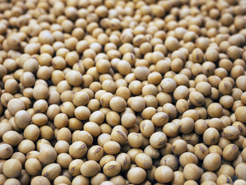 un montón de pequeñas bolas blancas de comida