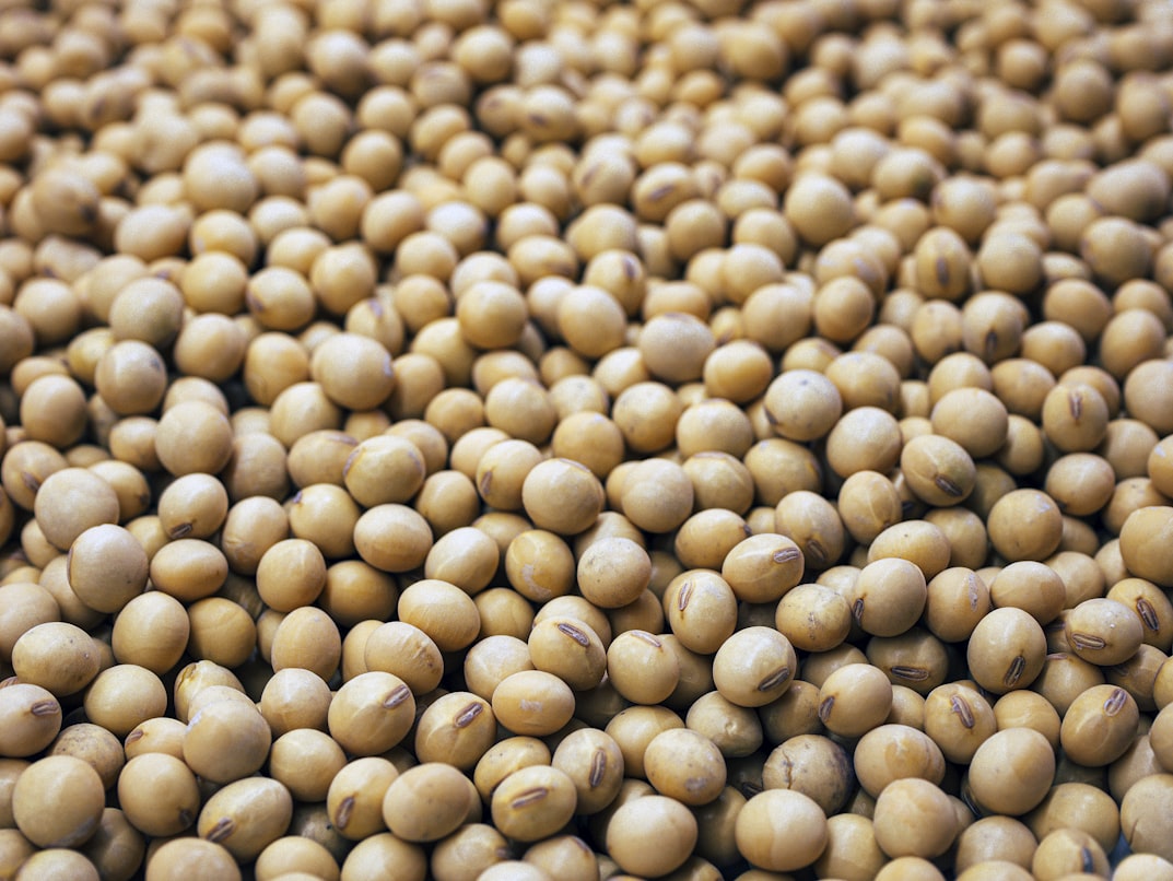 #A Heart-healthy Choice: Soybean Oil