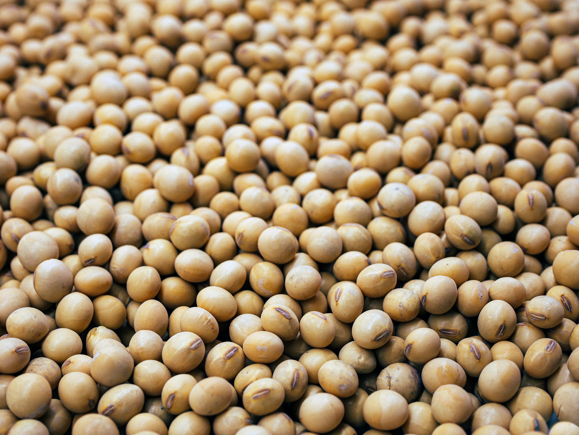 Soybeans 61.8% to 61.8%
