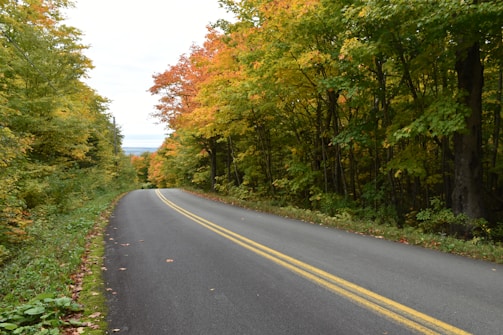 an empty road in the middle of a wooded area