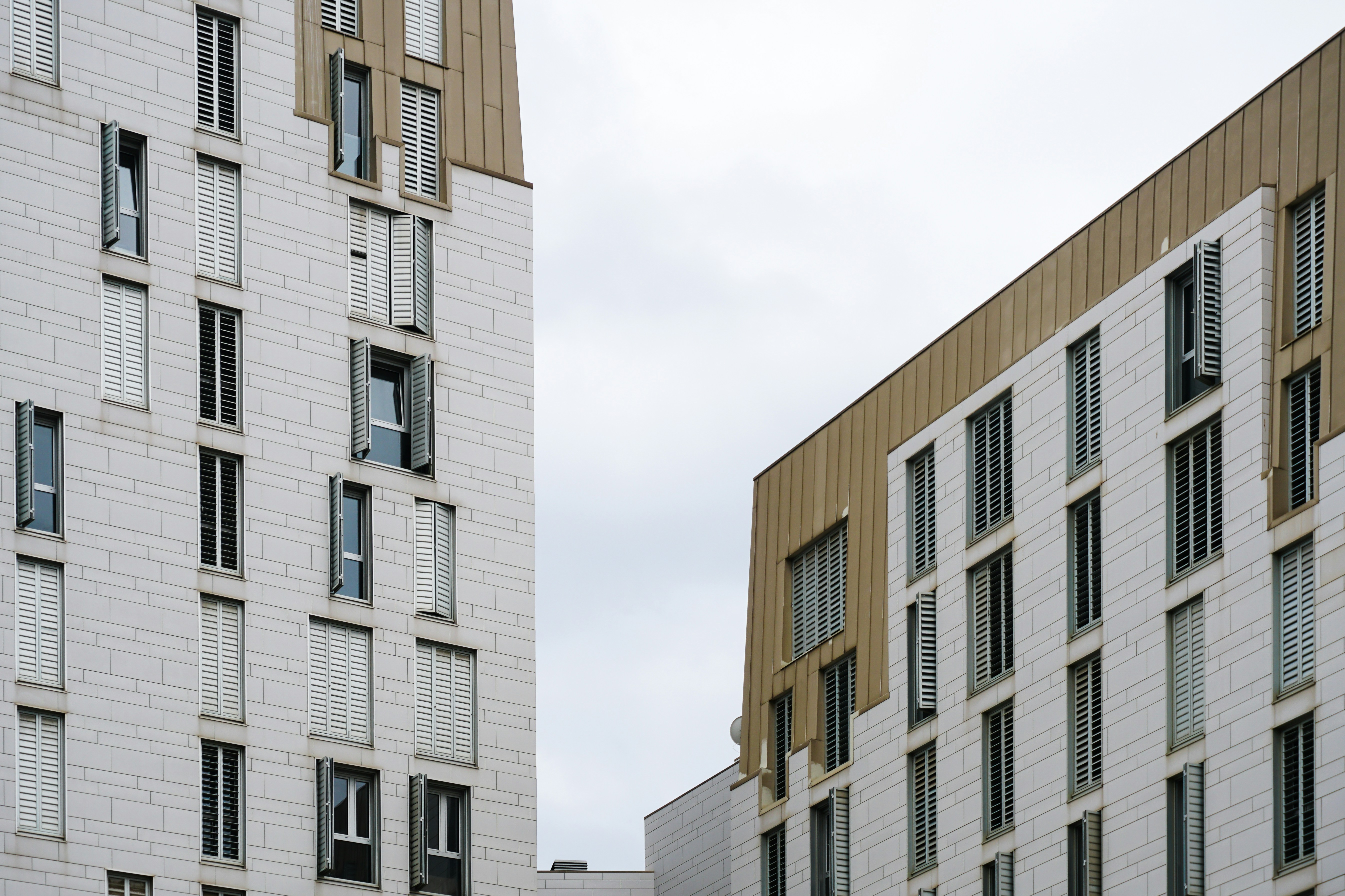 Photo by julianzando