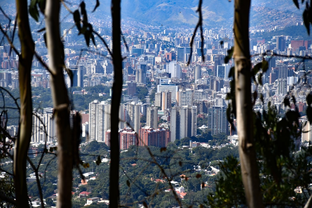 a view of a city from the top of a hill