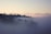 A serene landscape featuring a misty forest at dawn, evoking a sense of tranquility.