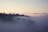 A serene landscape featuring a misty forest at dawn, evoking a sense of tranquility.