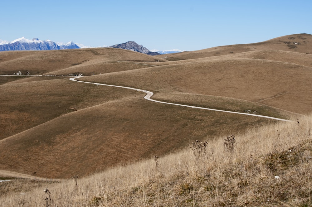 a winding road in the middle of a field
