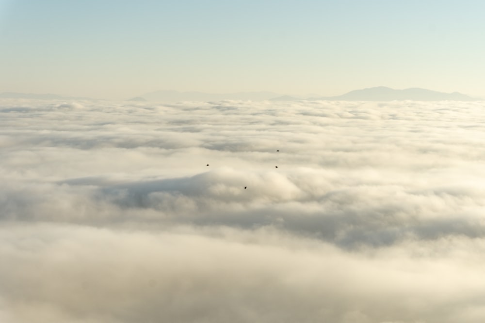 Un grupo de pájaros volando sobre las nubes