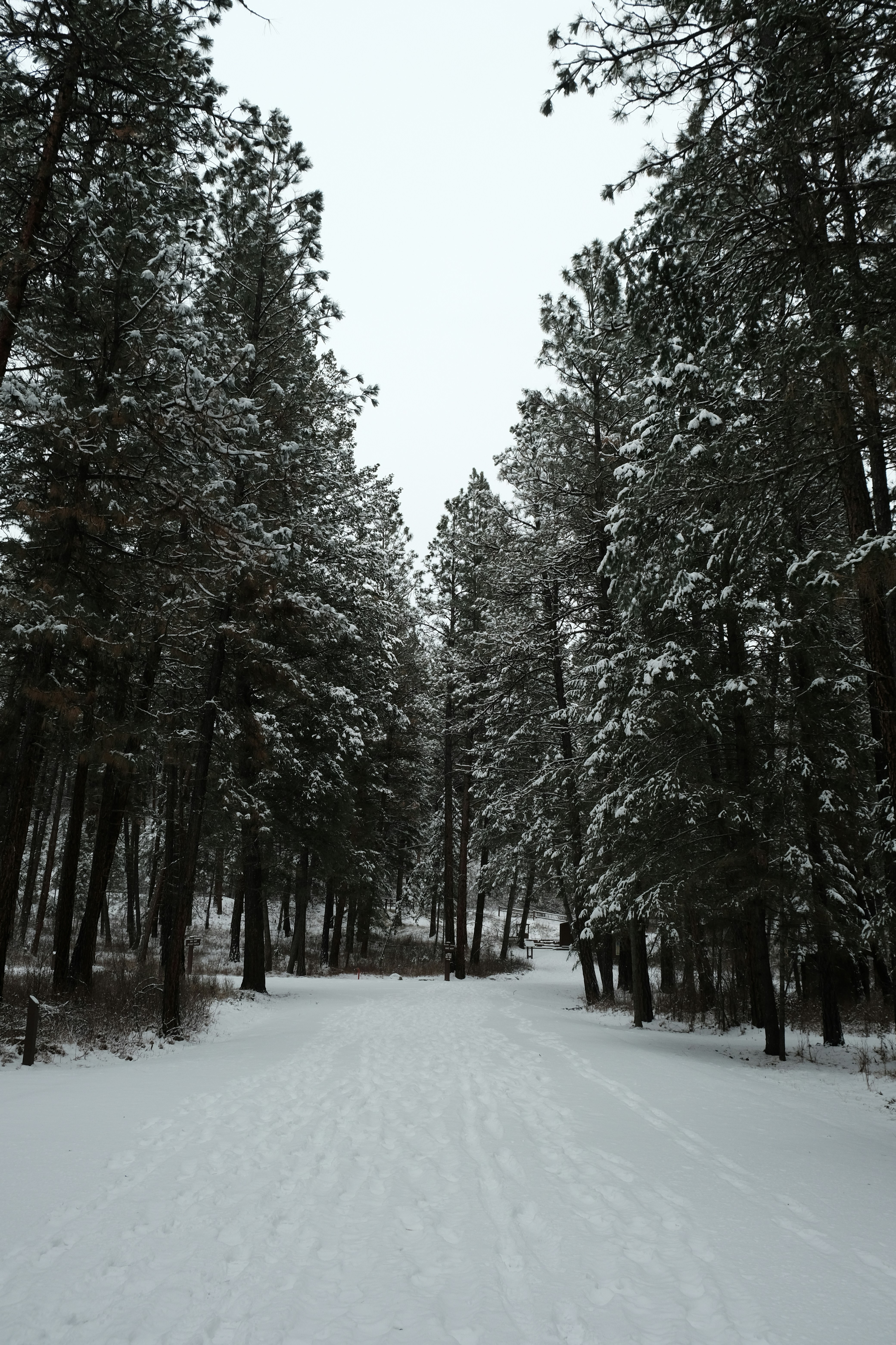 Photo by mosqui_panda