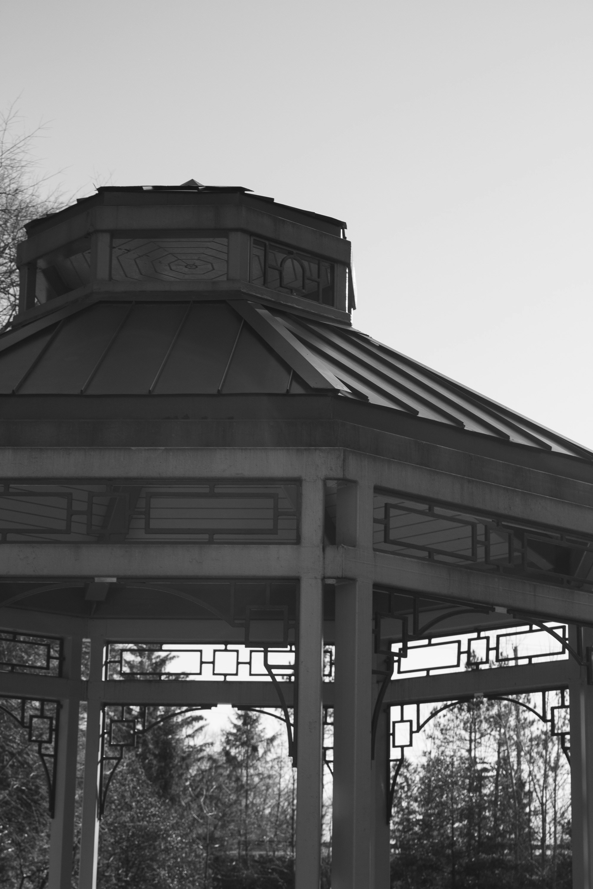 Photo by itsjustwyatt