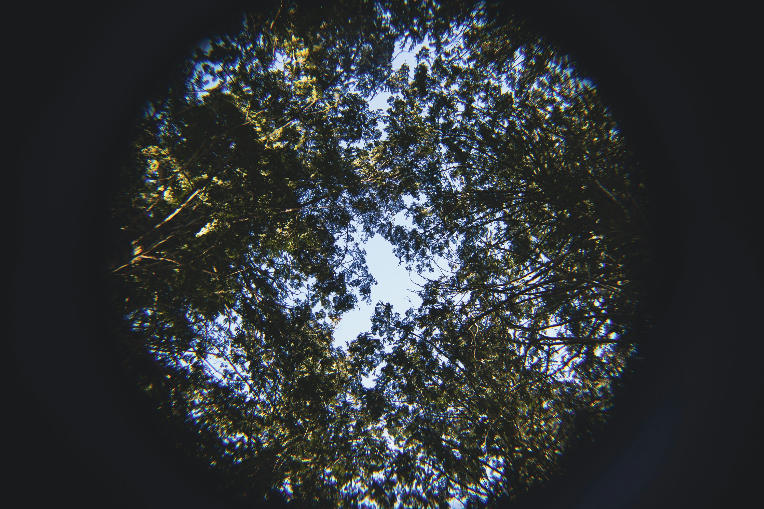 Photo by itsjustwyatt