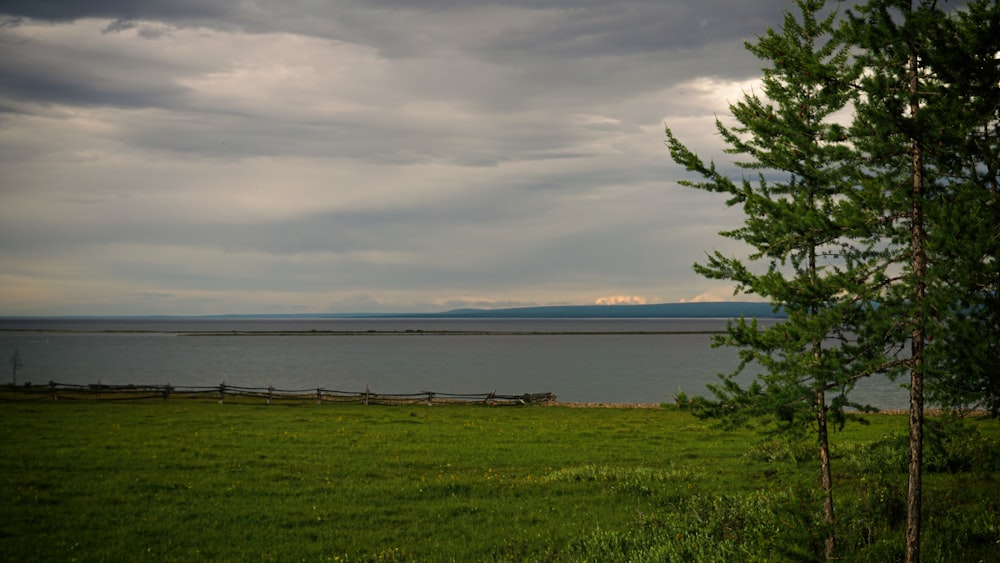 a large body of water sitting next to a lush green field