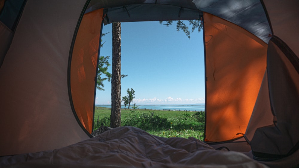 a view of a field through a tent