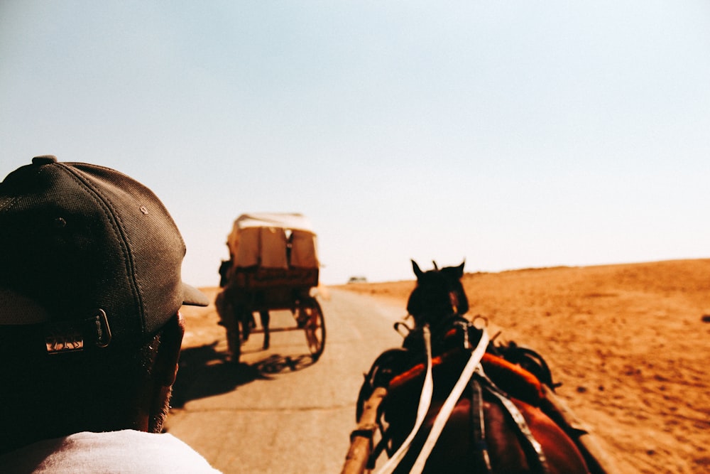 a man riding a horse drawn carriage down a desert road
