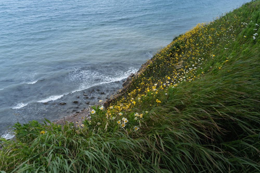 a view of the ocean from a cliff